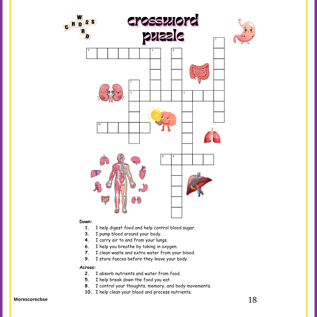 Human Organs Workbook for Kids – Printable Anatomy Colouring, Puzzles & Activities - Image 6
