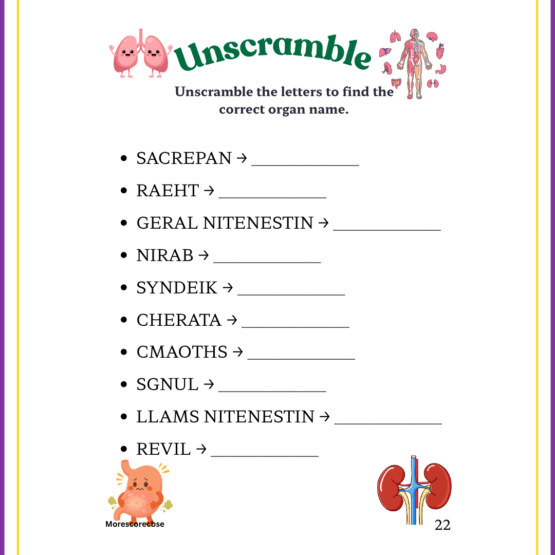 Human Organs Workbook for Kids – Printable Anatomy Colouring, Puzzles & Activities - Image 8