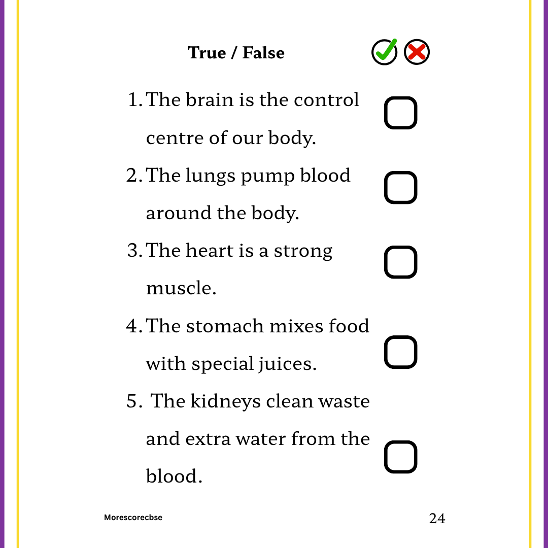 Human Organs Workbook for Kids – Printable Anatomy Colouring, Puzzles & Activities - Image 9
