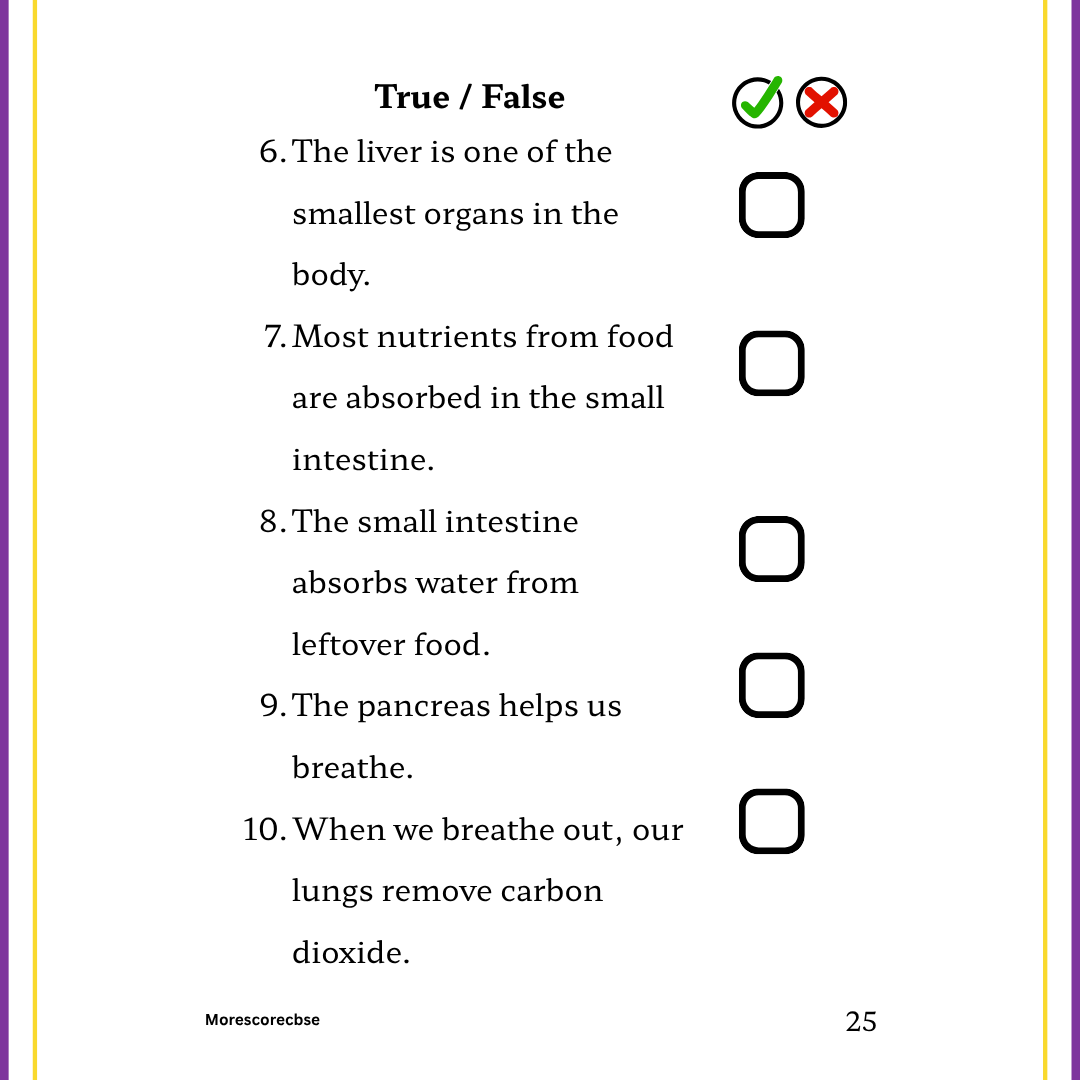 Human Organs Workbook for Kids – Printable Anatomy Colouring, Puzzles & Activities - Image 10