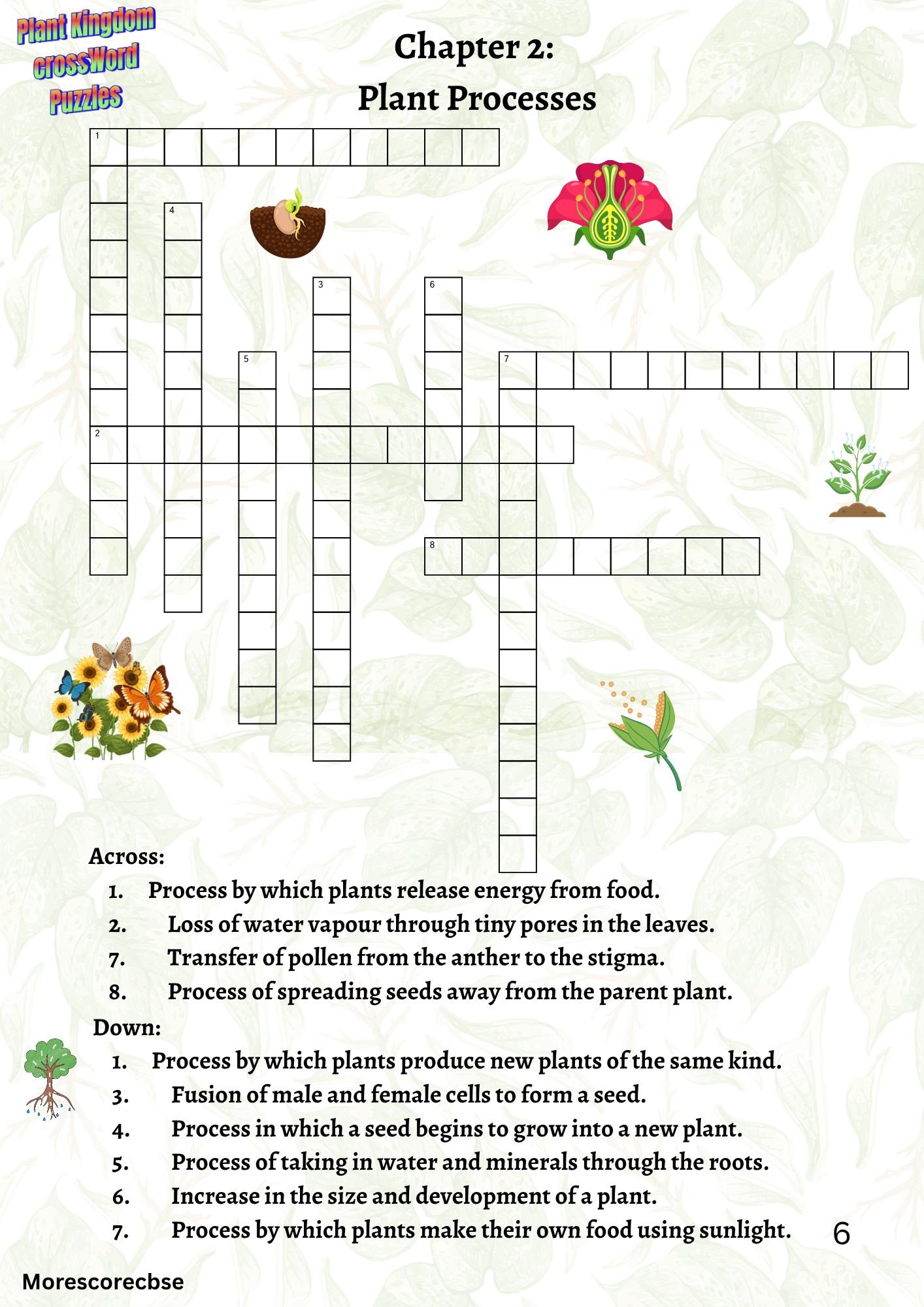 Plant Kingdom Crossword Puzzle | 100 Biology Crossword Puzzles for Kids | Printable Science Worksheet PDF - Image 4